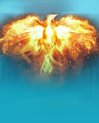 vendor_PP-Slot_vs20phoenixf