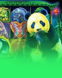 Panda's Fortune