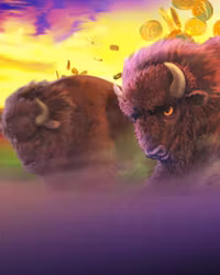 Buffalo Blitz II