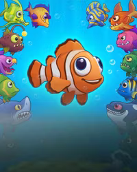Fish Road