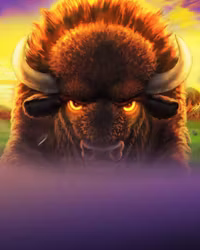Buffalo Blitz