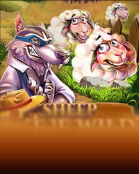 Sheep Gone Wild