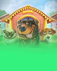 The Dog House