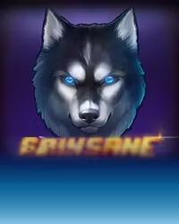 Spinsane