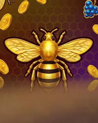 Royal Beellion Hold And Win