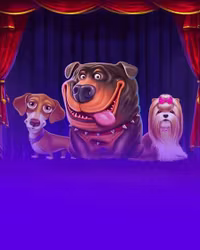 The Dog House Dice Show