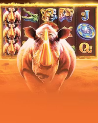 Great Rhino