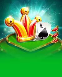Wild Ace
