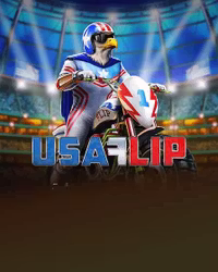 USA Flip
