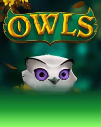 vendor_NolimitCity_owls000000000000