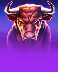 Black Bull