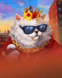 Fly Cat$