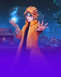 Power of Ninja