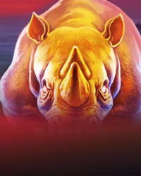 Rhino Blitz