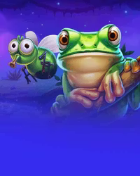 Frogs & Bugs