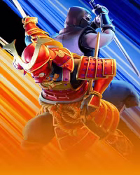 Ninja vs Samurai