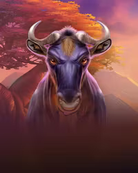 Wild Wildebeest Wins