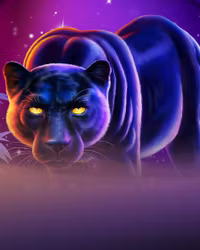 Panther Pays
