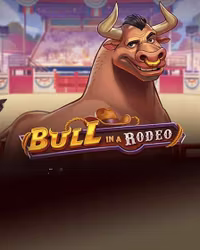 Bull in a Rodeo