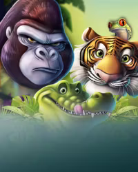 Jumbo Safari