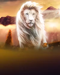 White King