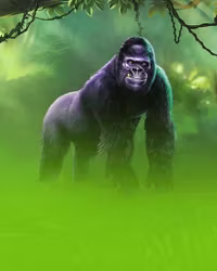 Gorilla Mayhem