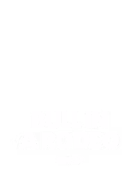 Bull in a Rodeo