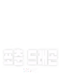 포춘 드래곤