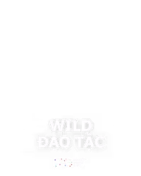 Wild Đạo Tặc