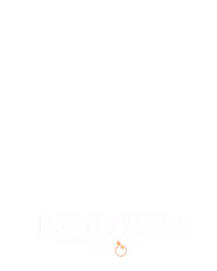 High Flyer
