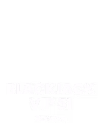 Blackjack VIP 51