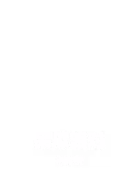 呆瓜派对