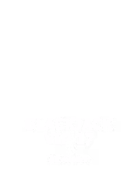 Blackjack VIP 17