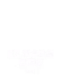EZ 荷官轮盘巴西版