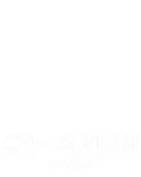 ⼆⼗⼀点 VIP H