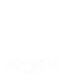 二十一点银 E