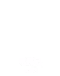 寻蝶记