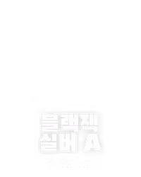 블랙잭 실버 A