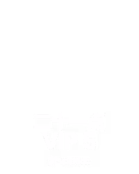 ⼆⼗⼀点 VIP 5