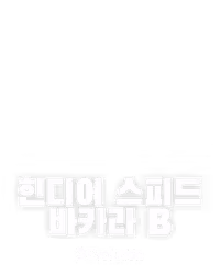 힌디어 스피드 바카라 B