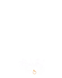 大人物
