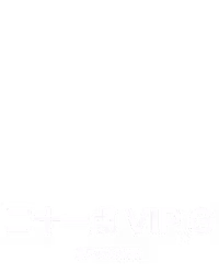 ⼆⼗⼀点 VIP G