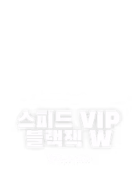 스피드 VIP 블랙잭 W