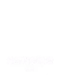 纳马斯特轮盘