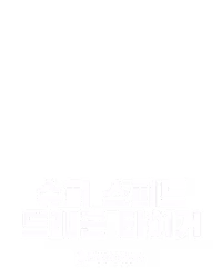 슈퍼 스피드 드래곤 타이거