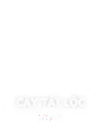 Cây Tài Lộc