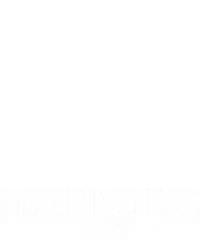 TWIN WINS