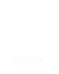 双球轮盘