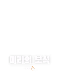 미라의 보석