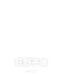 狂野子弹